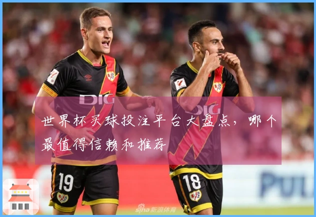 世界杯买球投注平台大盘点，哪个最值得信赖和推荐
