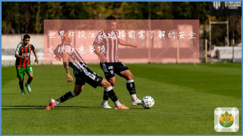 世界杯投注站选择前需了解的安全合规注意事项