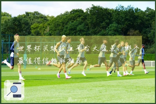 世界杯买球投注平台大盘点,哪个最值得信赖和推荐