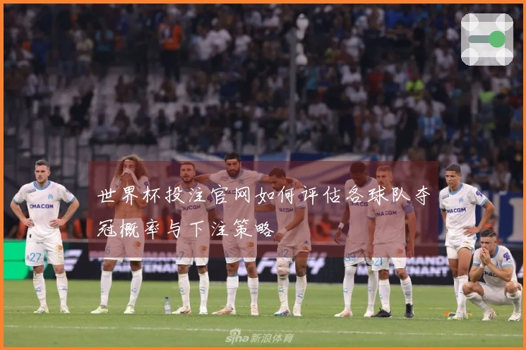 世界杯投注官网如何评估各球队夺冠概率与下注策略